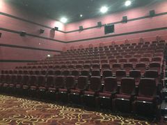 -悦江新远影城IMAX