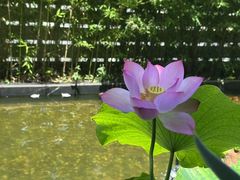 -观宴·品质赣菜(高新大道店)