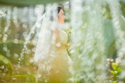 点击看大图 -金夫人婚纱摄影(华南店)