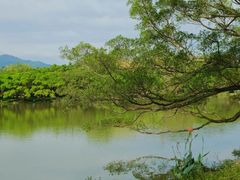 -江心屿景区