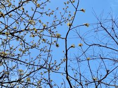 -敬亭山风景名胜区