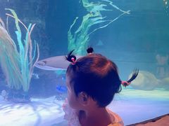 -沈阳海洋探索中心