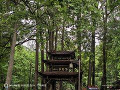 -青城山
