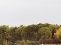 -大兴滨河森林公园