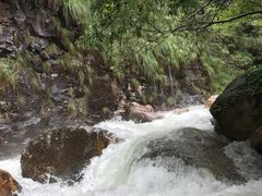 -祁门牯牛降观音堂风景区