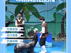 -石家庄极地海洋世界