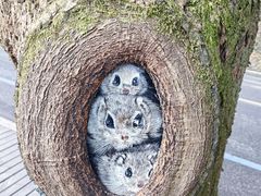 -潜山国家森林公园