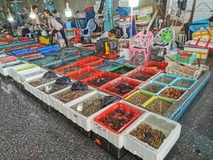 -霞涌市场海鲜摆卖区