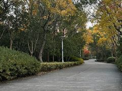 -长广溪湿地公园