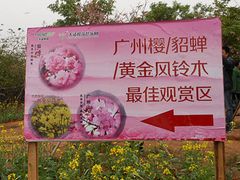 指示牌-天适樱花悠乐园