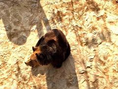 -石家庄市动物园