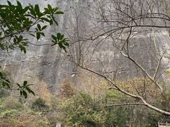 -崀山风景名胜区