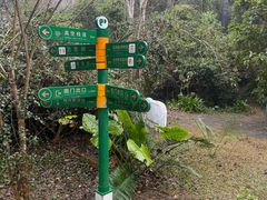 -野象谷景区