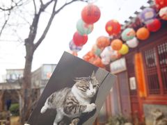 -正阳书局(西四南大街店)