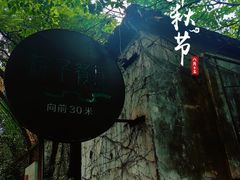 -院子餐厅·大锅菜·老杭帮(桥西直街店)