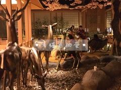 -蓝鲸湾汤泉(包河店)