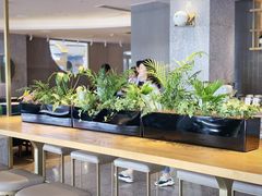 -Bco豆库(星耀天地店)