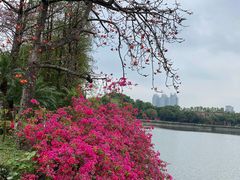 -东山湖公园