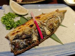 -晶吉·居酒屋·烧鸟·生鱼饭(中山区民主广场店)