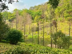 -云溪植物园