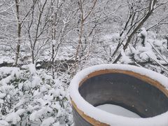 -秦岭终南山世界地质公园翠华山景区
