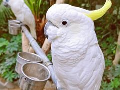 -南宫五洲植物乐园