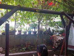 -印象小院•团建•玩水•休闲