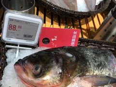 -盒马X会员店(王府井奥莱UP TOWN店)