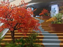-石家庄万象城