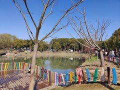 -嘉北郊野公园