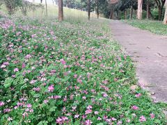 -福建鲤鱼洲酒店