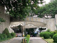 -顺德大良半月城游乐场