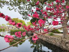 -无锡蠡湖国家湿地公园-蠡园