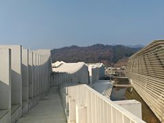 -中国宣纸文化园