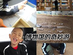 -房山世界地质公园博物馆
