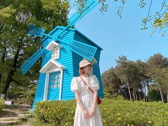 -铁山坪森林公园