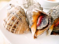 海螺-海岛渔村大酒店(云霄路店)