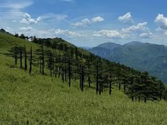 -终南山国家森林公园