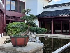 -苏州吴宫泛太平洋酒店