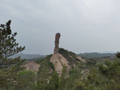 -磬锤峰森林公园
