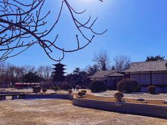 -北京世界公园
