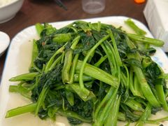 空心菜-老杨饭店(万科里店)