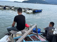 -罗源湾8号渔排