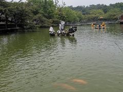 -星湖旅游景区七星岩