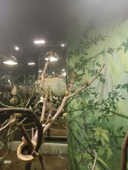 -Zoolung Zoolung动物主题公园(海信广场店)