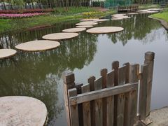 -东平国家森林公园