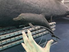 -厦门海底世界
