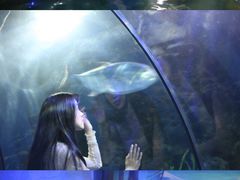 -台州海洋世界