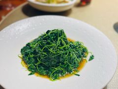 清炒金花菜-天福苑(崇宁路店)