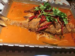-永安水煮活鱼·仪征土菜院子